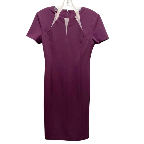 Calvin Klein Dresses & Skirts - Calvin Klein Sheath Dress Mesh Detail Burgundy Purple Women’s Size 2